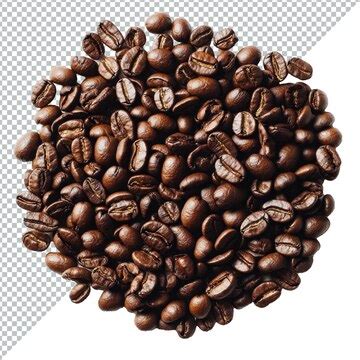Coffee beans display a glossy sheen on a transparent background ...