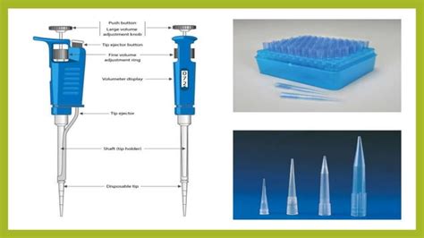 Biotechnology Lab Tools 的图像结果