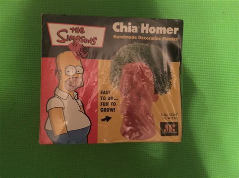 Chia Homer Simpson Head The Simpsons Planter Indoor Grass Garden Sealed ...
