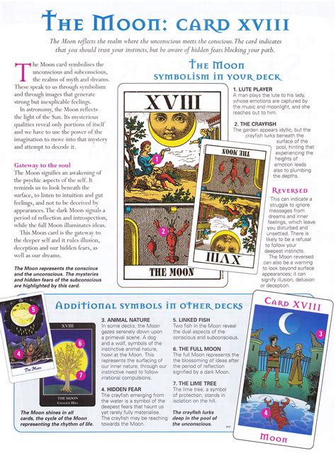 The moon card | Tarot book, Tarot card spreads, Tarot meanings