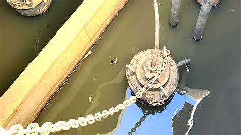 Oxigeno (Oxygen) Human Playground Costa Rica