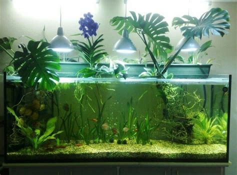Aquaponika #AquariumIdeasFreshwaterFishTanks | Аквапоника, Пресноводный ...