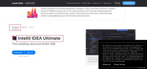 IntelliJ Java Download 的图像结果