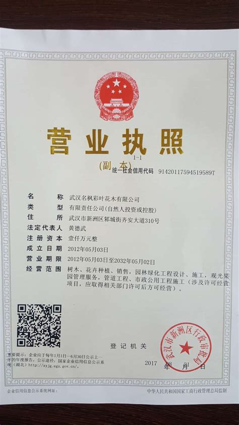 武汉工商 营业执照 注册公司 注销执照 企业变更_公司注册、年检、变更_第一枪