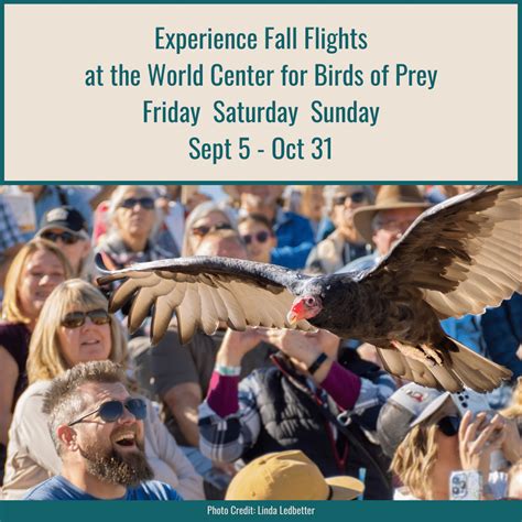 Fall Flights | Visit Boise