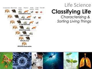 Image result for Example of Interfacing and Classifying Science
