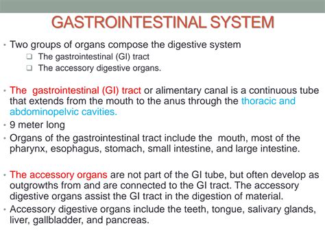 SOLUTION: Anatomy Gastrointestinal system - Studypool