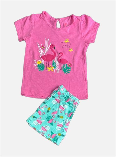 Girls T-Shirt Shorts Set (12 - 18 Months) - Pink Crane Flower Leaf ...
