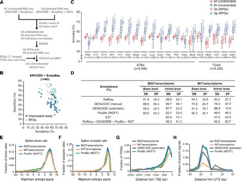 Transcriptome TreeMap 的图像结果