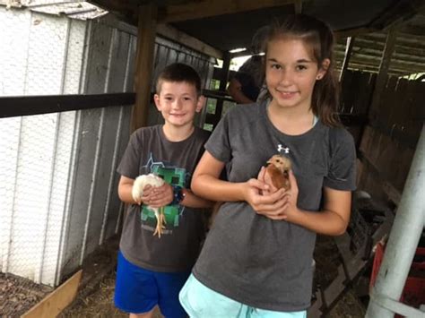 Winter Haven Vacation Rentals | Airbnb