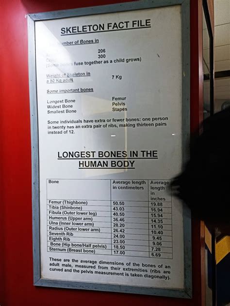 Menu at Science Centre Canteen, New Delhi