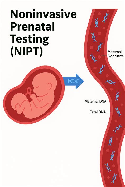 Non‑Invasive At‑Home Prenatal Paternity Test Kit