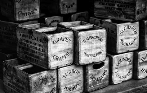 Wallpaper Fish, boxes, Tara, Fruit, Watercress for mobile and desktop ...