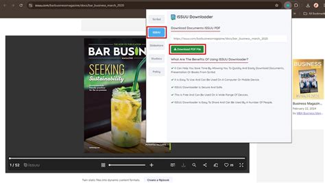 Image result for Issuu PDF