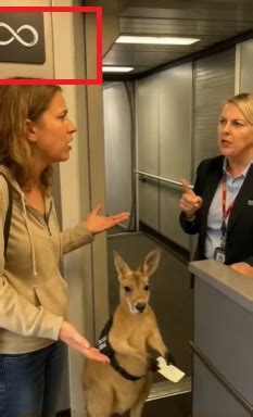 AI-Generated Video Of Kangaroo Waiting To Board Plane Fools Internet ...
