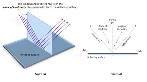 Image result for How Light Reflects