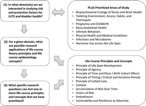 Who Life Course Approach 的图像结果