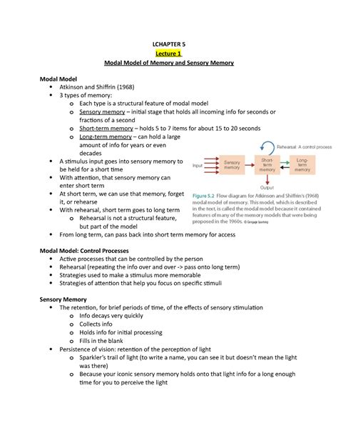 Ch5+6+7 Student Notes - Modal model of memory and sensory memory; short ...