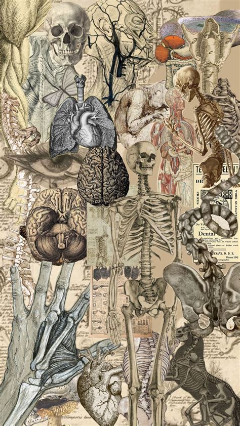 Best 12 Medical art – Artofit - medical art