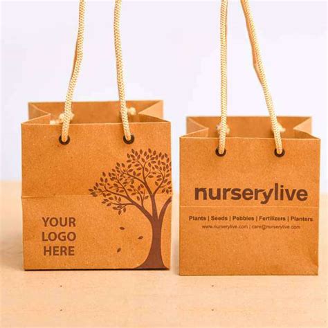 Buy Money Plant Marble Prince in Paper Wrap - Corporate Gift (set of 30 ...