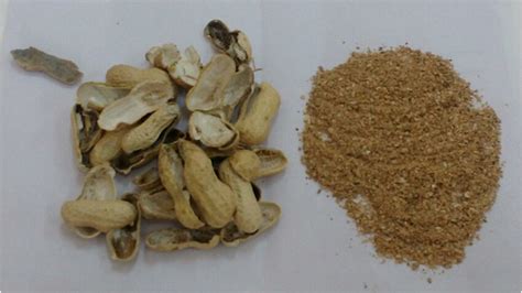 Image result for Paper From Groundnut Shell Making Process