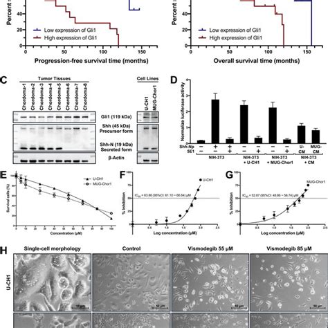 Image result for DAPI Staining 101