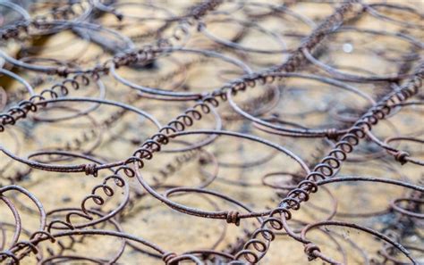 Box Spring Alternative 的图像结果