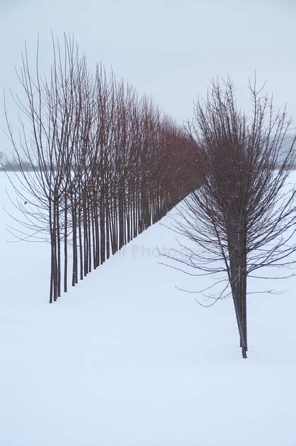 Image result for Good Composition