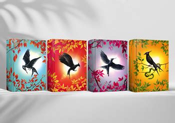 Image result for Hunger Games Collection Poster