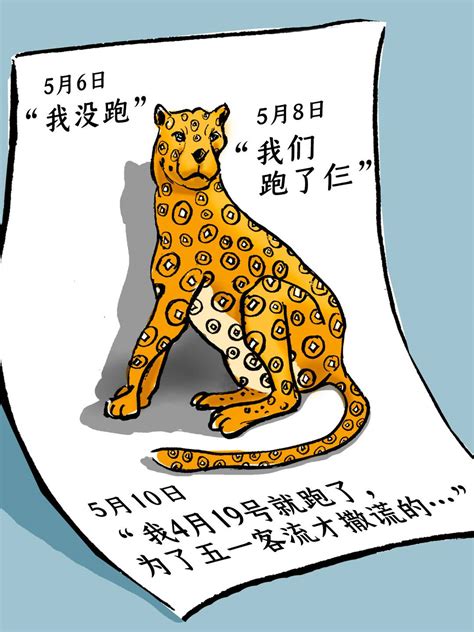 外逃近2个月后，杭州第三只豹子在陕西现身，体型变得肥肥胖胖