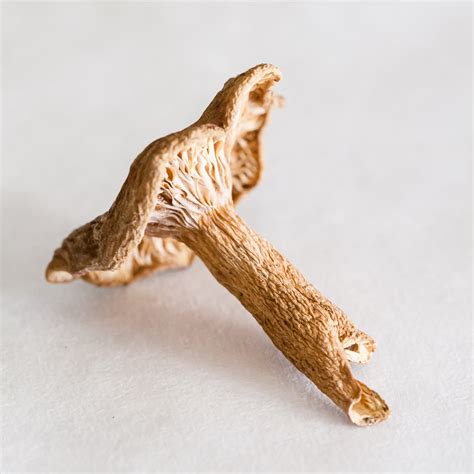 Mushroom Cupcakes - A Candy Cap Mushroom Dessert Recipe - Cupcake Project