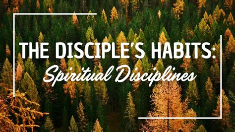 Image result for Disciples of Discipline