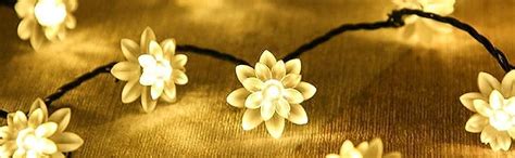 Buy fizzytech 25 Led Lotus Flower Decoration Lights Plug in Fairy ...