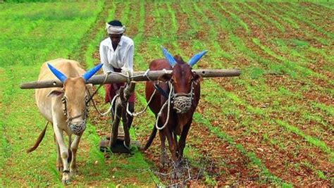 తెలంగాణ రైతులకు గుడ్ న్యూస్! సంక్రాంతికే రైతు భరోసా డబ్బులు! కానీ, ఒక్క ...