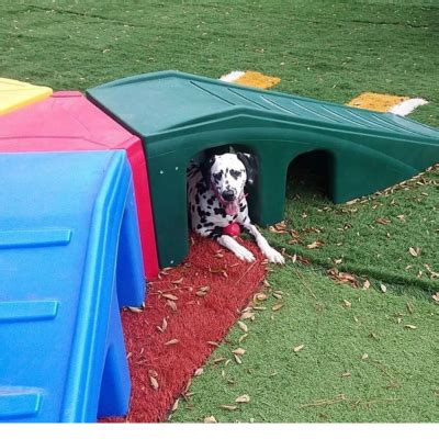 Image result for Grok Python Colours