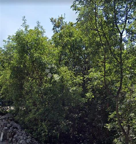 ZEMLJIŠTE KASTAV, građevinsko zemljište, površina 1.408m2