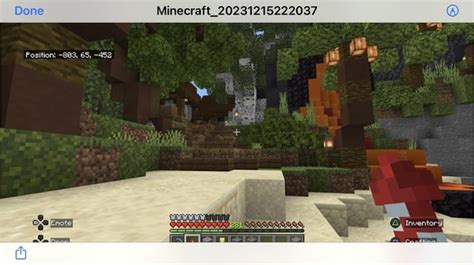 Image result for Minecraft Tropical Builds