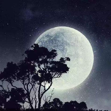 我说今晚月光那么美，你说是的-月亮图片_唯美图片