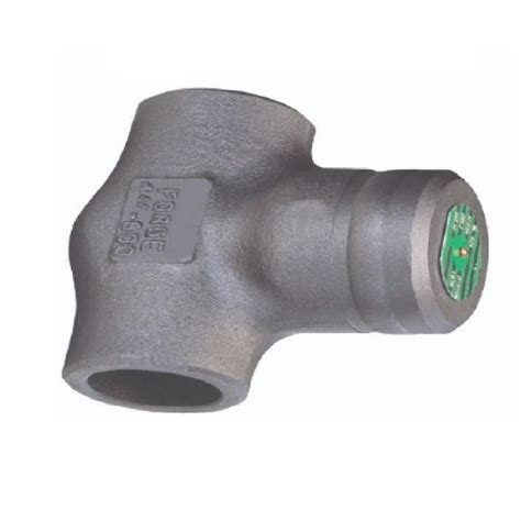Check Valve - Class 300 PSI Check Valves Manufacturer from Mumbai