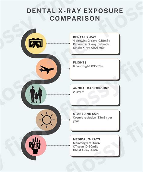 Dental Xray Exposure Chart Digital Download, Dental Patient Radiograph Educational Poster ... - effects of x ray exposure