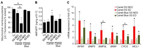 Sidestream Smoke Extracts from Harm-Reduction and Conventional Camel ...