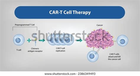 Mouse Cart Cell Image 的图像结果