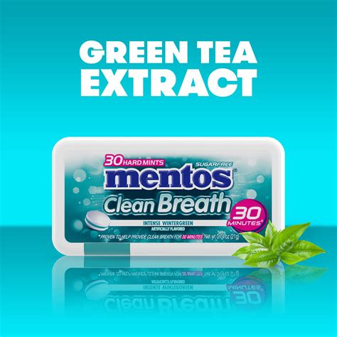 Buy Mentos Clean Breath Hard Mints Sugar Free Candy, Wintergreen, (Pack ...