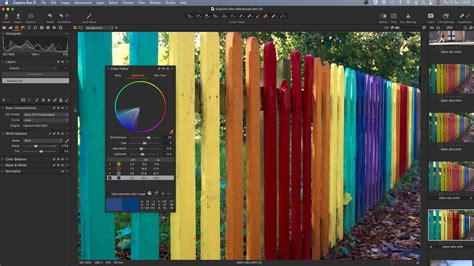 Image result for Capture One Pro 21 Tutorials