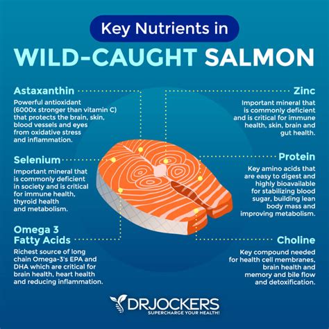 Benefits Of Salmon Fish at Louise Mcmakin blog