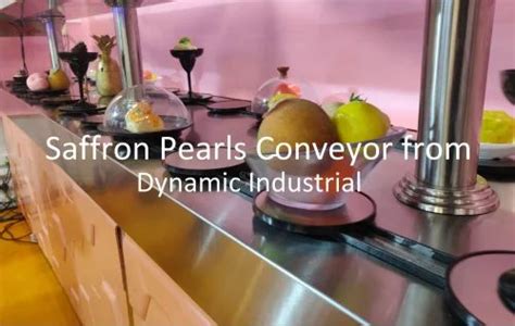 Conveyor Belts - Modular Conveyor Belt Manufacturer from Greater Noida