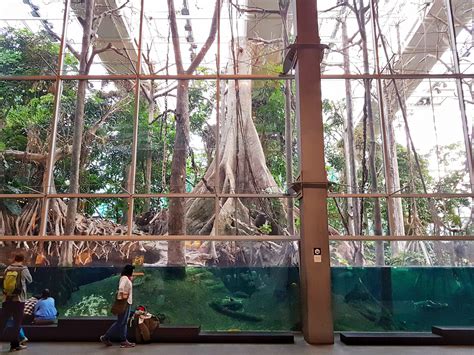 CosmoCaixa: An Interactive Science Museum in Barcelona - Latitude 41 - latitude of barcelona
