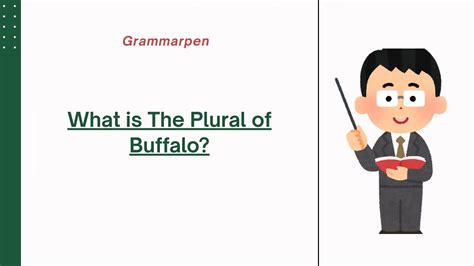 What is The Plural of Buffalo? | Grammarpen