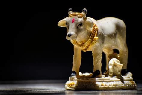 Significance of 𝐊𝐚𝐦𝐝𝐡𝐞𝐧𝐮 𝐂𝐨𝐰 𝐚𝐧𝐝 𝐂𝐚𝐥𝐟 𝐒𝐭𝐚𝐭𝐮𝐞 as per Vastu