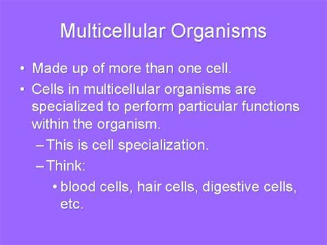 Image result for Multicellular Cells